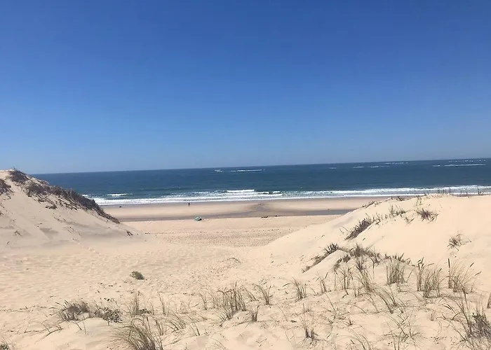 La Maison Des Prairies - Biscarosse Biscarrosse